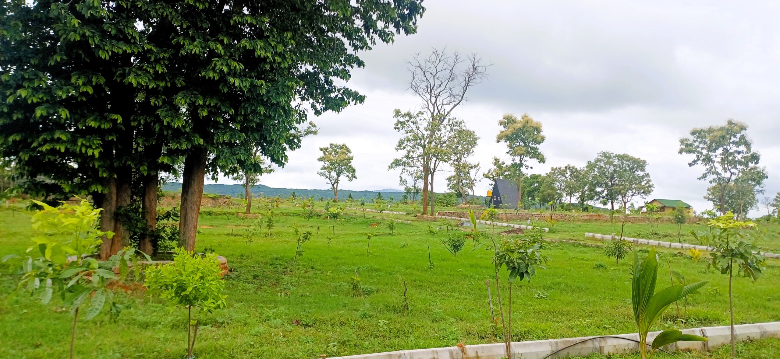 Harohalli 948 A Orchards project1